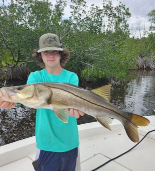 Reeling in Snook-tastic memories in Everglades